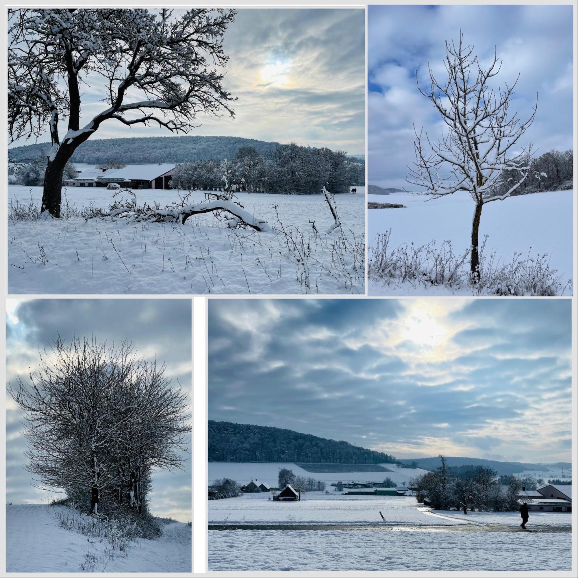 Fewo Uettingen Mitte Exteriér fotografie